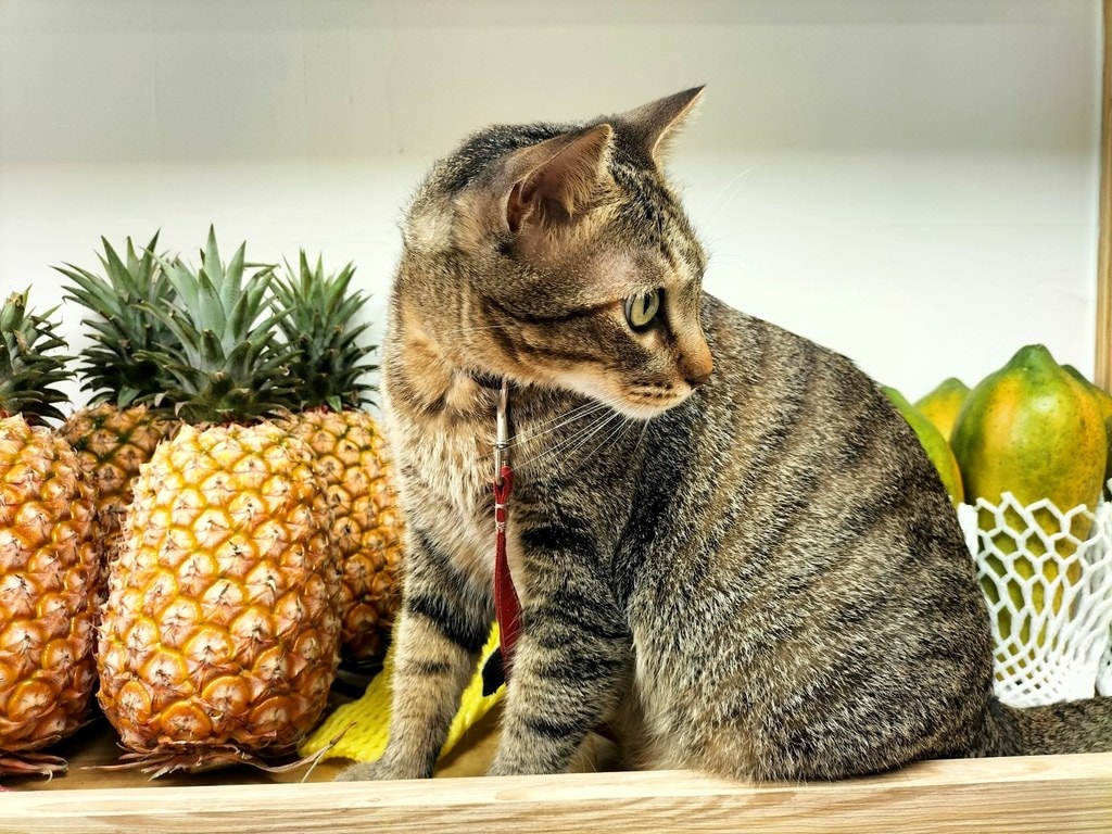 信義安和果汁 達果汁TA JUICE