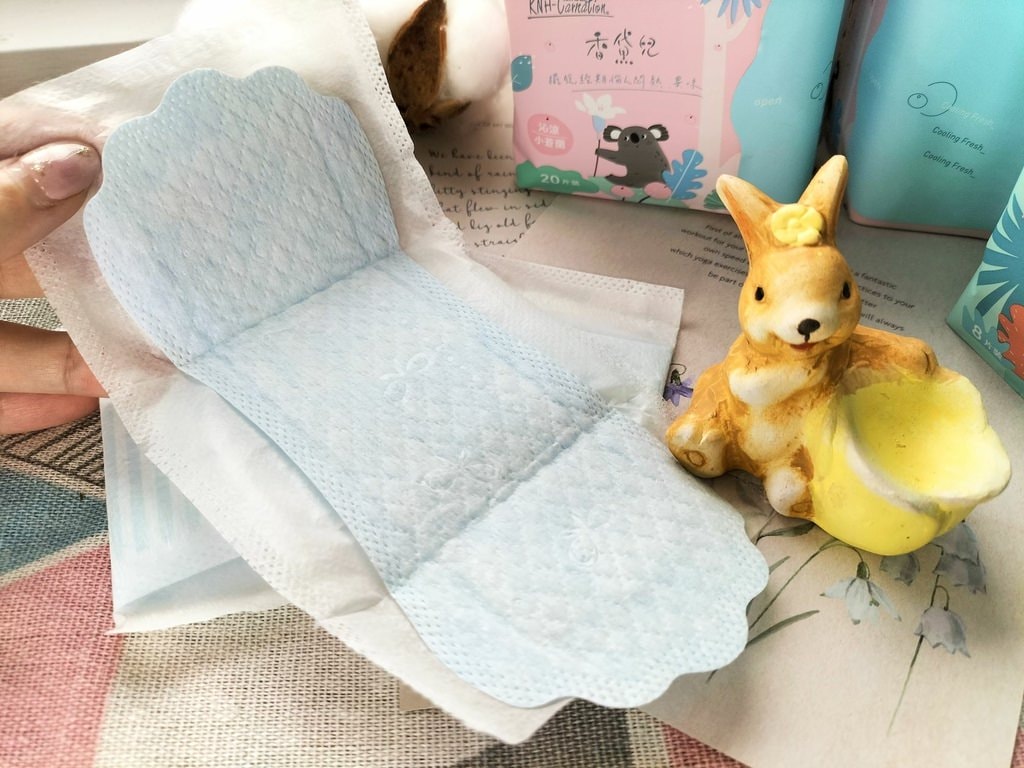 康乃馨香黛兒衛生棉 抗菌去味