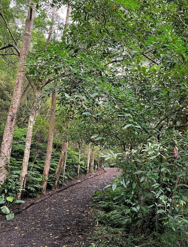 馥森宜蘭里山藝術生態園區