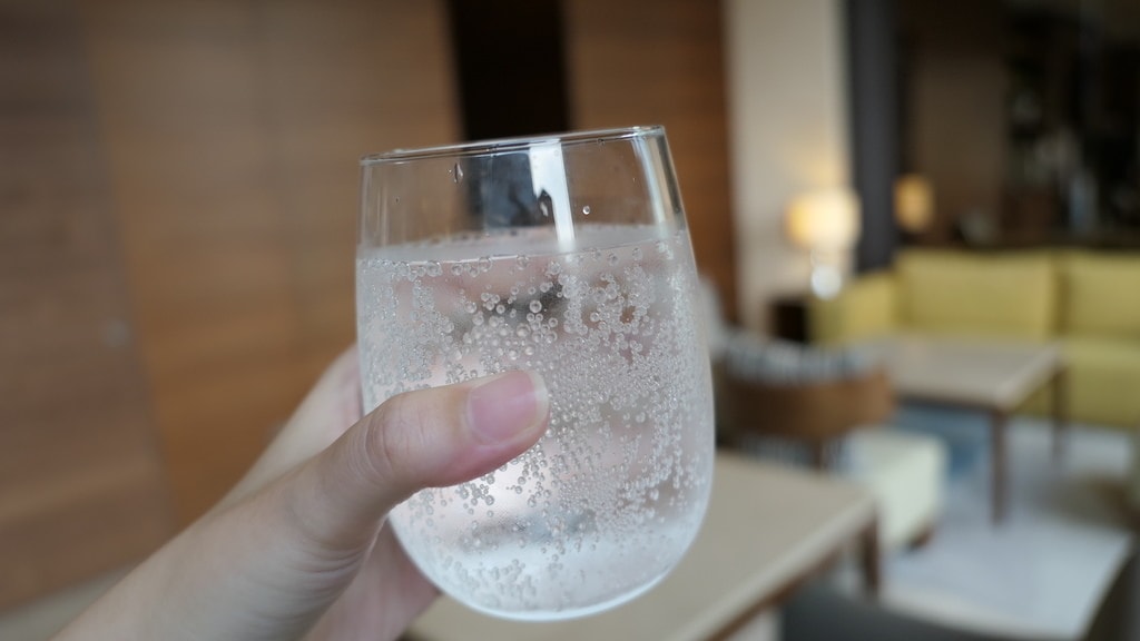 【中山區住宿】美麗信花園酒店，鬧中取靜的商務度假型酒店，備有