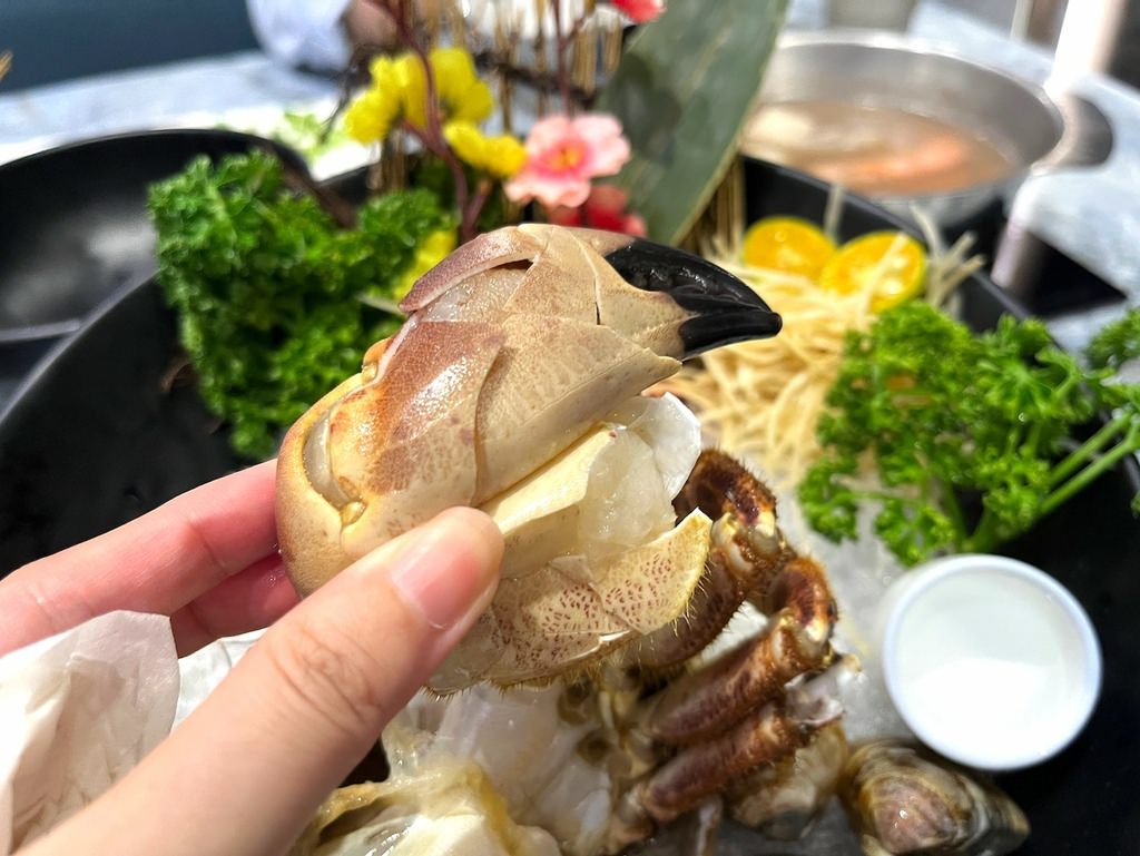 【圓山美食】第九站精緻鍋品酒泉店,回味無窮的華麗麵包蟹海陸大 大龍峒美食