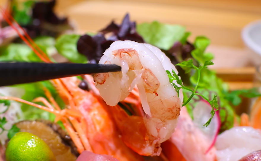 【板橋日本料理推薦】THE·春板橋店,華麗不可方物的生魚片壽 THE·春板橋店 大脂海鮮珠寶盒