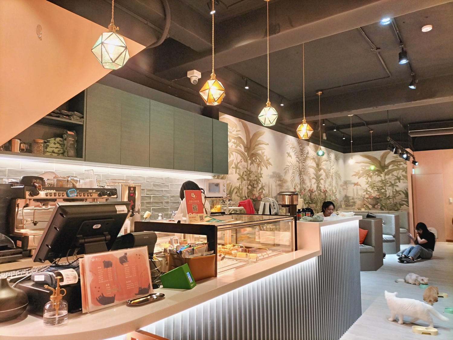 中山貓咪咖啡廳｜擼LALA Sweets 中山南西店—必訂位的台北貓咖擼ららSweets，10隻療癒系美貓– 瑪西隨筆