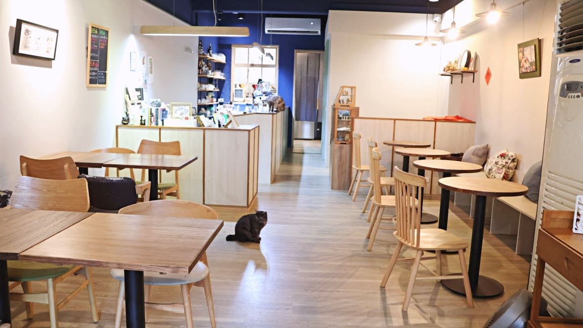 雪咖啡 yuki coffee|行天宮深夜貓咪咖啡廳,溫馨可愛 - 第5張圖 行天宮貓咖啡 雪咖啡 yuki coffee