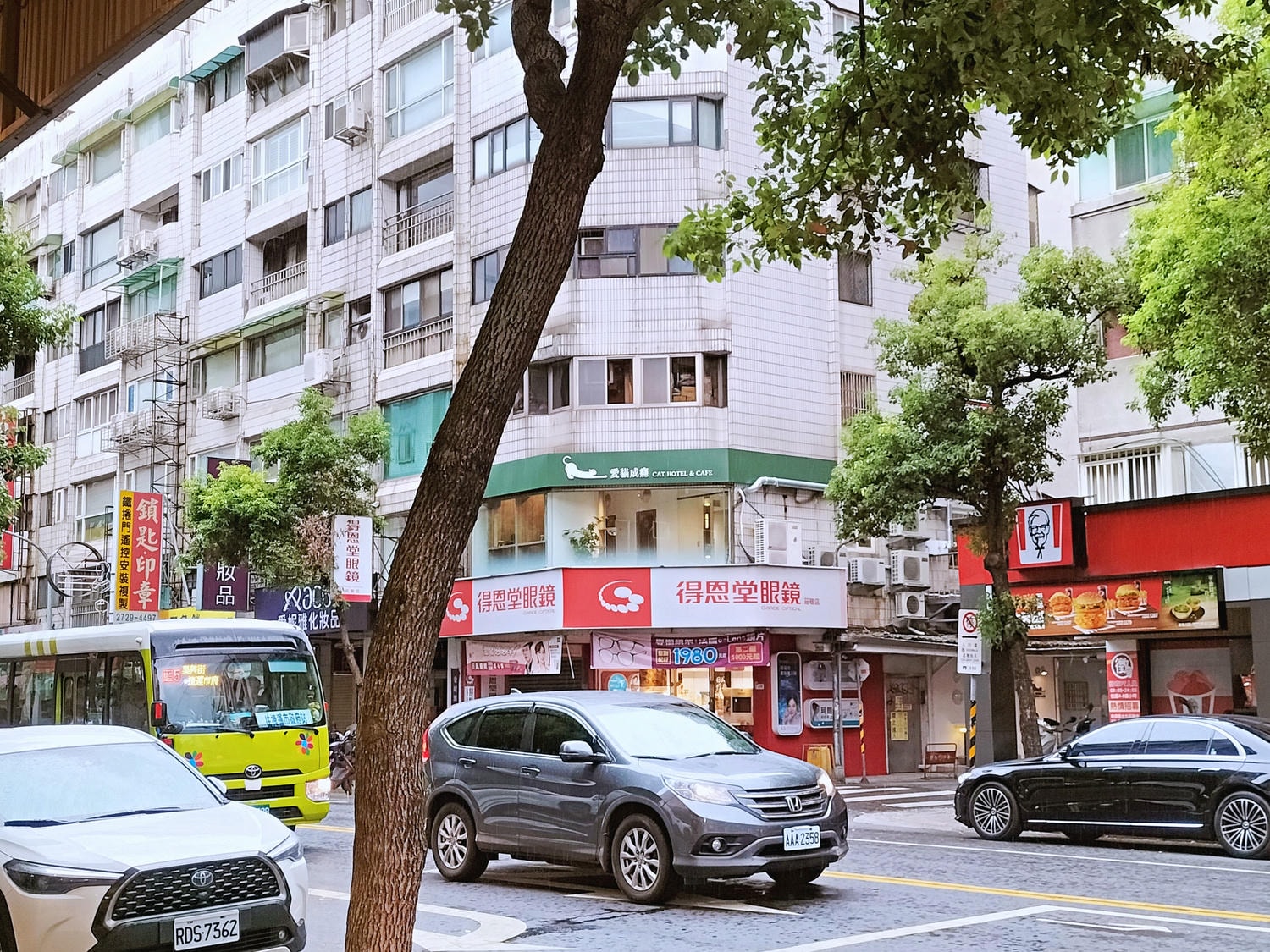 愛貓咖啡廳|愛貓成癮 • CAT HOTEL & CAFE——五星貓旅館跨刀新質感貓咪咖啡廳 - 第2張圖