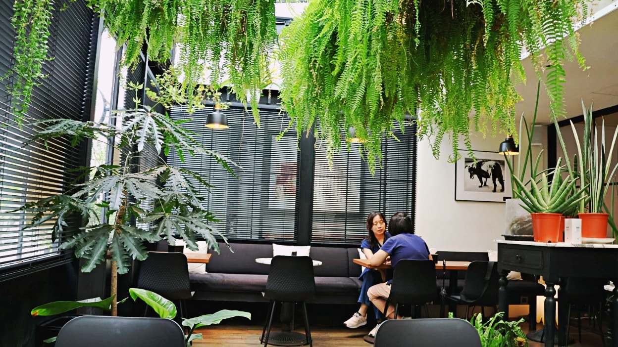 永康街咖啡廳推薦|永康天使 Angel cafe——夢幻玻璃屋東門不限時咖啡廳 - 第4張圖