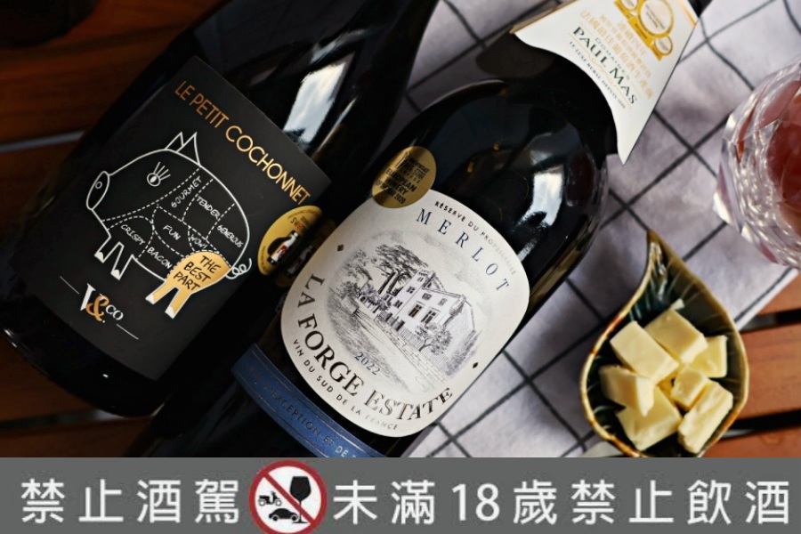 全聯紅酒推薦|南法小豬紅葡萄酒、法國拉楓莊園——為中秋烤肉串燒而生的平價紅酒,dcard高CP值紅酒 - 第15張圖