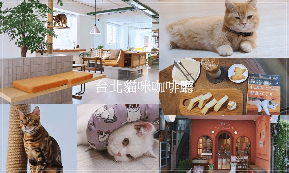 2025台北咖啡廳推薦|dcard網友最愛的100間台北下午茶甜點,依區域特色捷運站區分! - 第12張圖