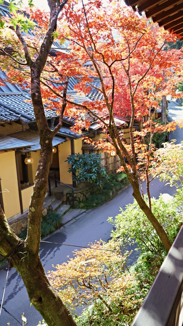 東京八王子 Ukai鳥山餐廳|高尾山地爐炭火燒烤美食,6000坪山林日式老屋用餐體驗 - 第11張圖