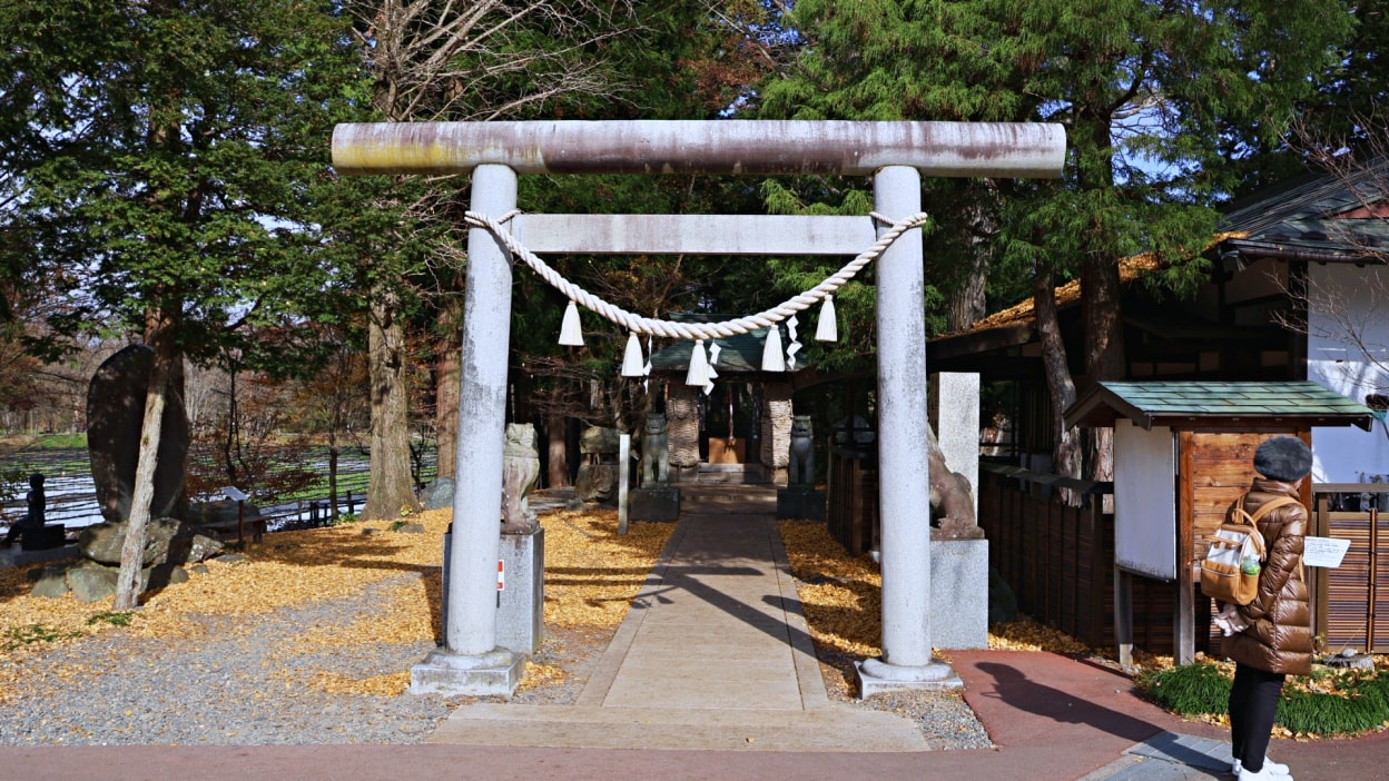 長野景點|大王山葵農場——安曇野秘境農場,必吃山葵冰淇淋,日本最大山葵園 - 第17張圖