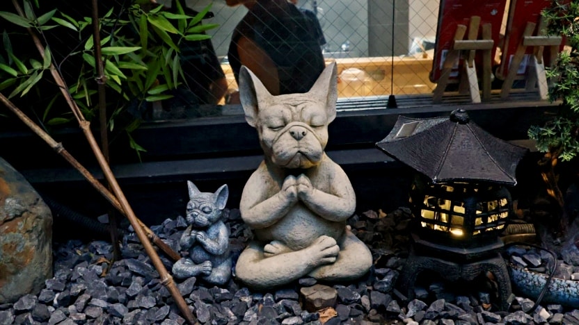 東京拉麵|入鹿TOKYO——米其林推薦六本木必吃美食,日本人觀光客都愛 - 第4張圖