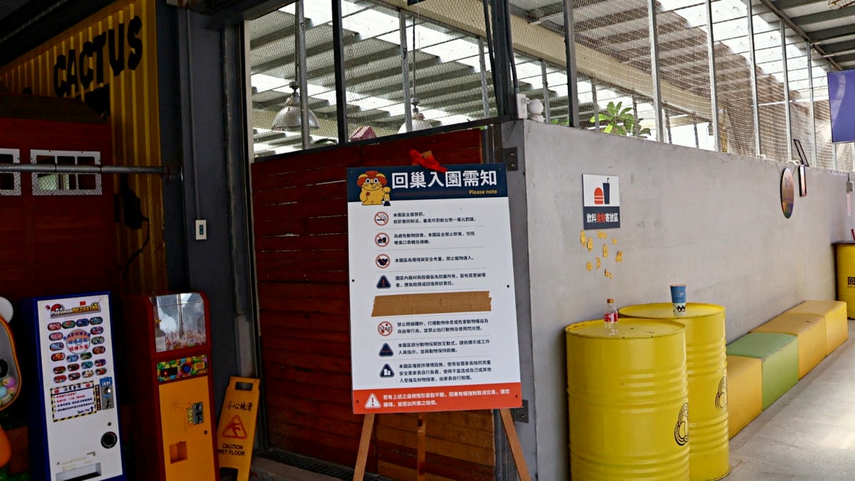 宜蘭礁溪農場|回巢農場——小巧精緻充滿愛心的友善動物農場,高互動值回票價 - 第8張圖