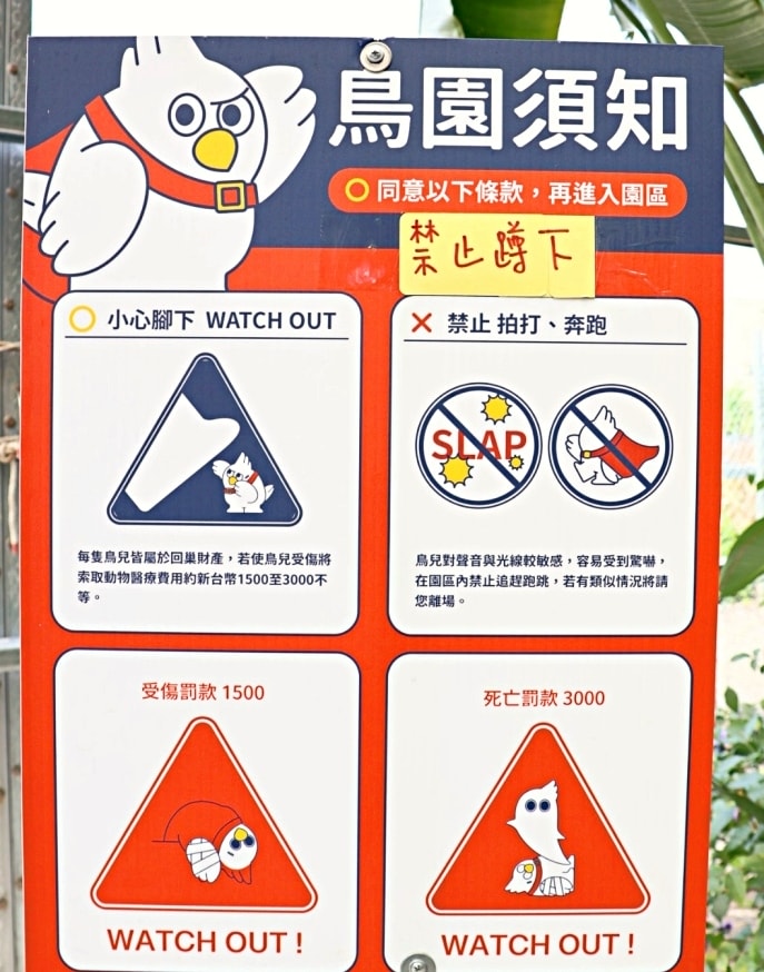 宜蘭礁溪農場|回巢農場——小巧精緻充滿愛心的友善動物農場,高互動值回票價 - 第33張圖