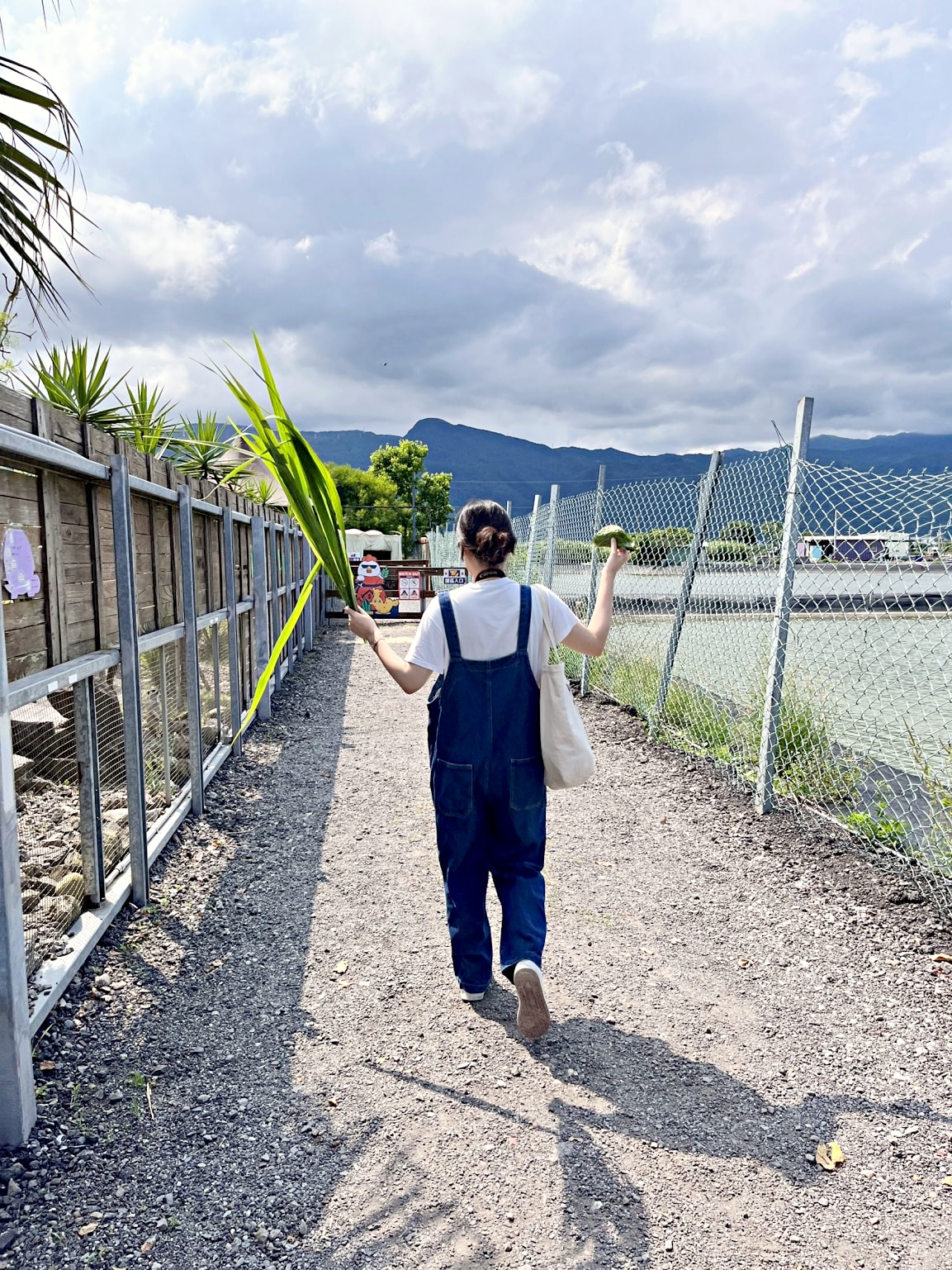 宜蘭礁溪農場|回巢農場——小巧精緻充滿愛心的友善動物農場,高互動值回票價 - 第14張圖