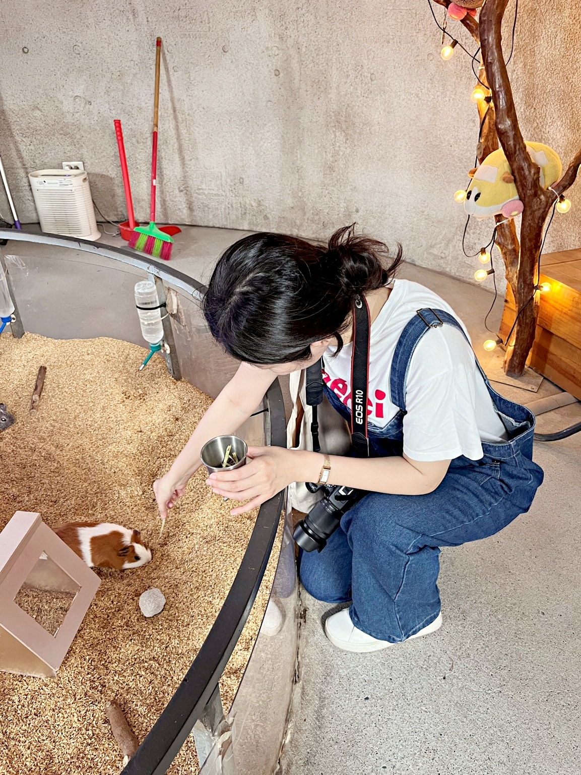 宜蘭礁溪農場|回巢農場——小巧精緻充滿愛心的友善動物農場,高互動值回票價 - 第22張圖