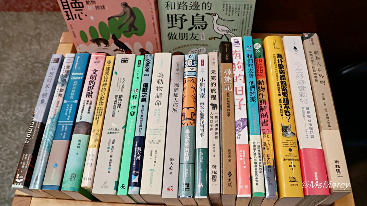 赤峰街不限時咖啡廳|浮光書店——書香與咖啡香交織的美好獨立書店咖啡 - 第11張圖
